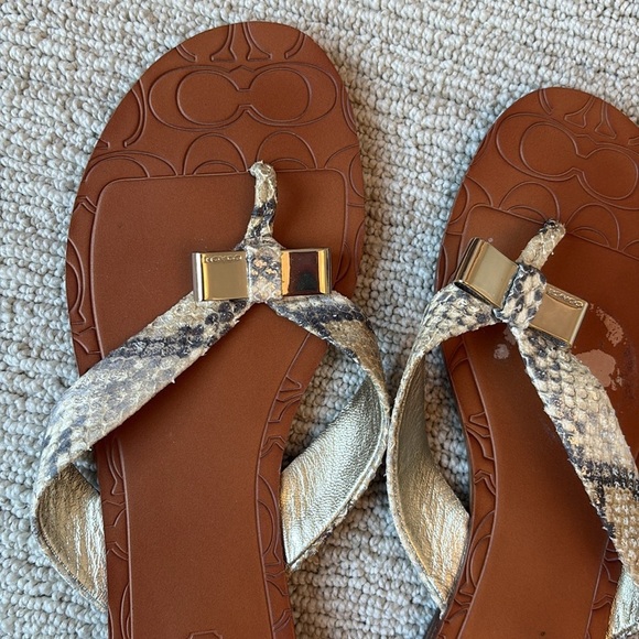 Coach Sable Metallic Snake Skin Signature Sandal - Picture 2 of 4